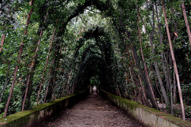 Walkway, Boboli Gardens