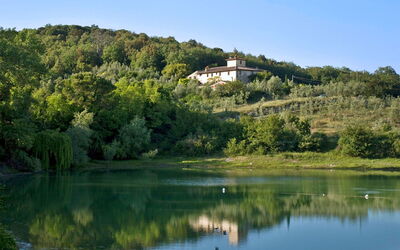 Ricavoli, lake view