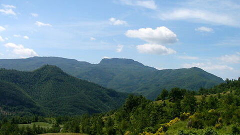 The forested valley of Casentino