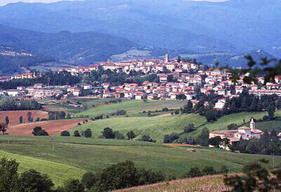 View of Bibbiena town