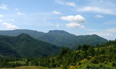 The forested valley of Casentino