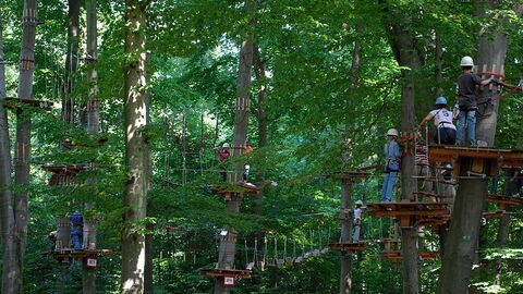 Challenge yourself to a high ropes course!