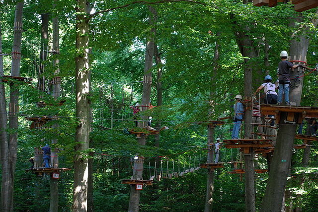Challenge yourself to a high ropes course!