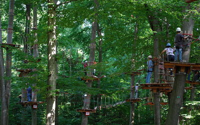Challenge yourself to a high ropes course!