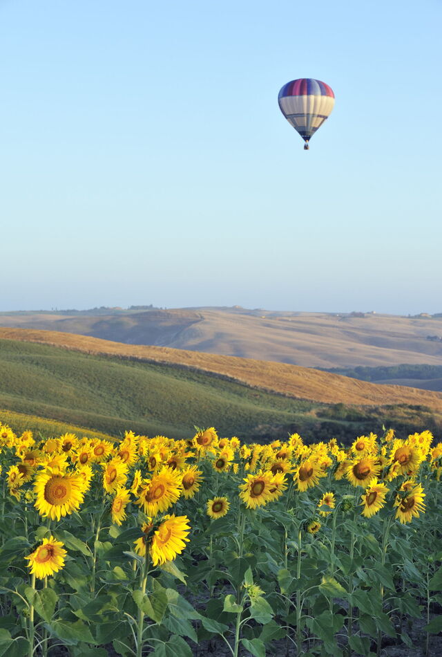 Romantic hot air balloon ride