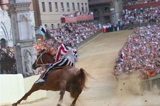 Image palio di Siena