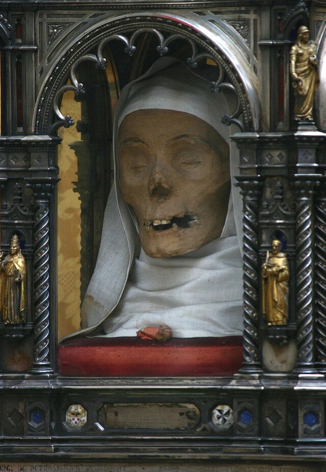 The Head of Saint Catherine