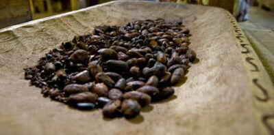 Cocoa Beans