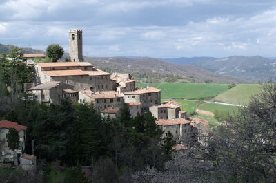 Castelnuovo Val di Cecina View