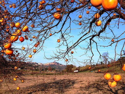 Autumn in San Miniato