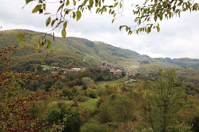 View of Careggine through surrounding trees