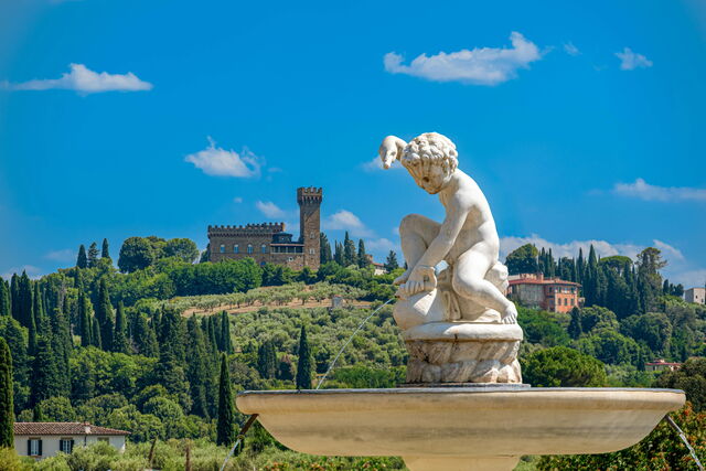 Views from Boboli Gardens