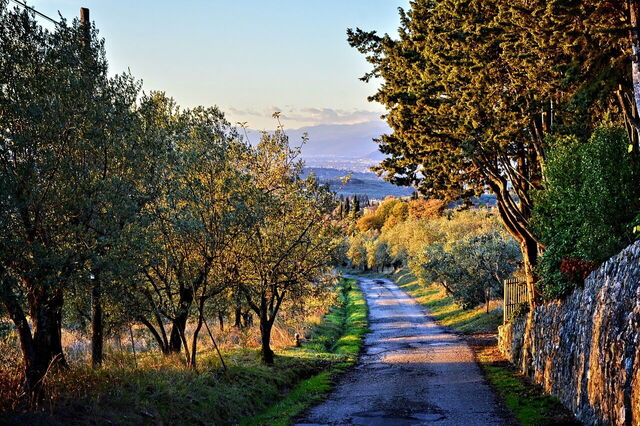 A road in Chianti