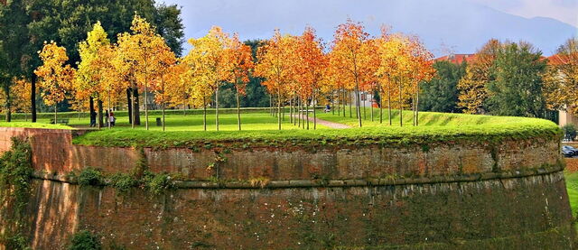 Lucca city wall gardens