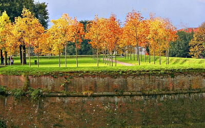 Lucca city wall gardens