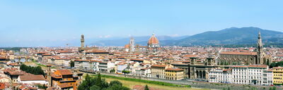 Florence Landscape