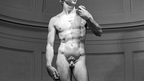 David