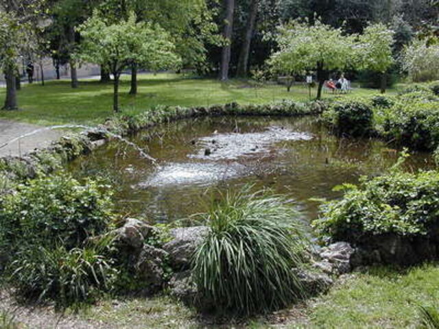 Pond at the Botanic Gardens, Pisa