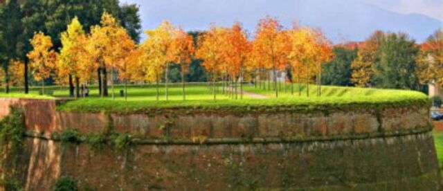 Lucca City Walls