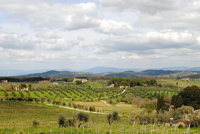 Tuscan landscape