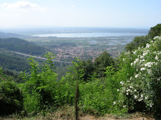 Massaciuccoli Lake