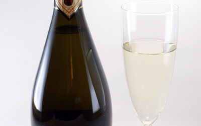 Prosecco of Valdobbiadene