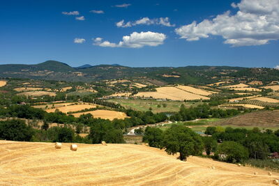 Scenery in Maremma