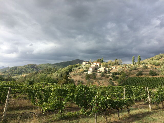 Tuscan Hills