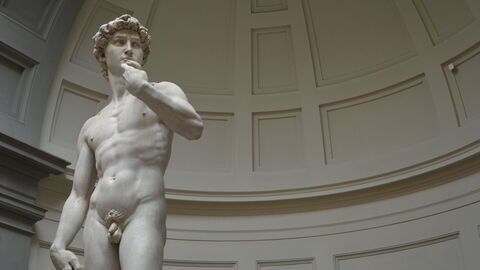 David in the Accademia