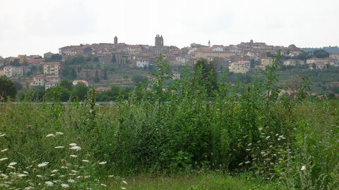 View of Monte San Savino