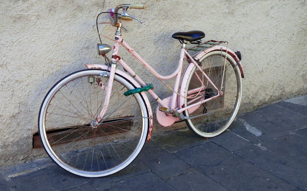 Pink Lady Bike