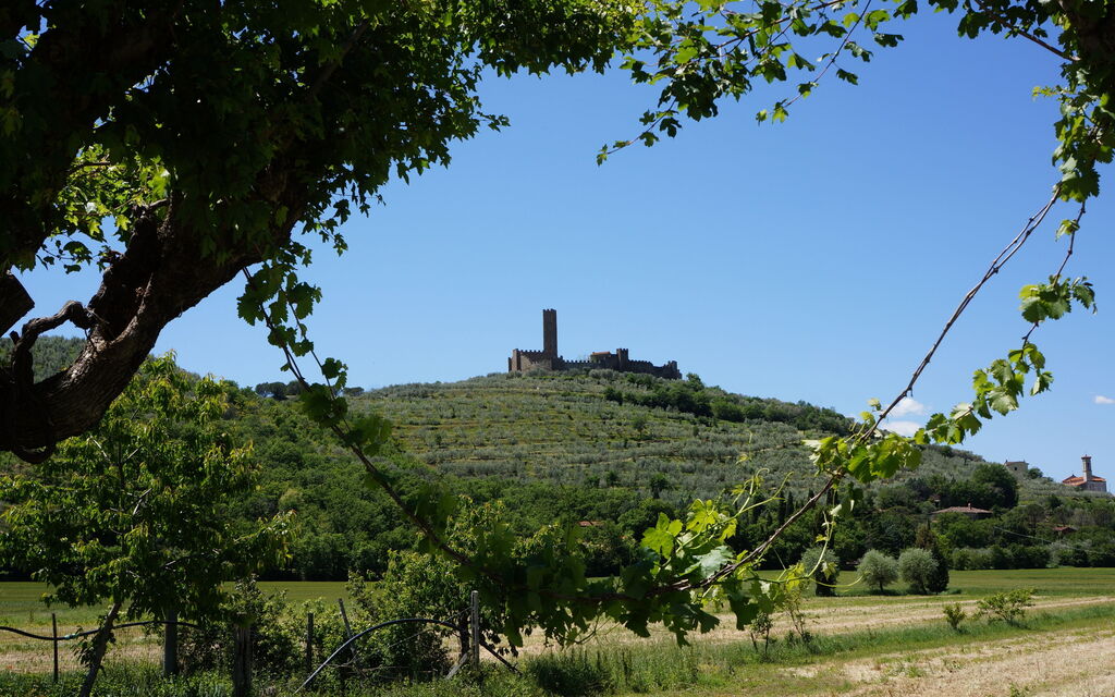 Montecchio fortress between Arezzo and Cortona