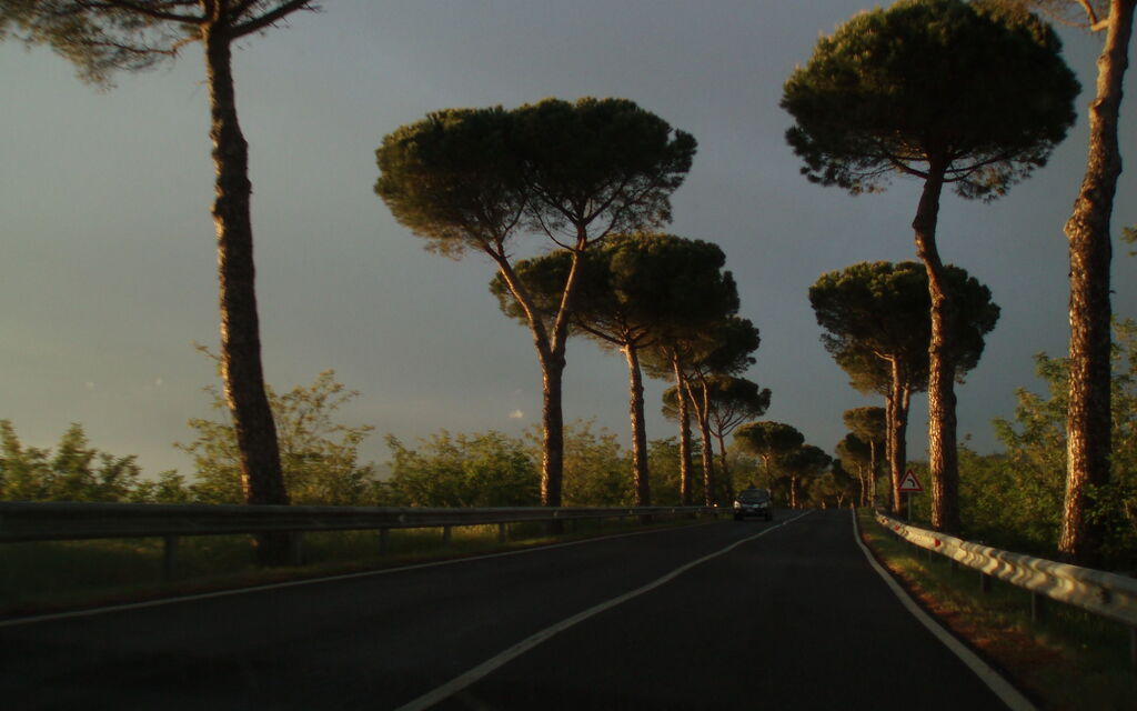 Road under Tuscan Sun