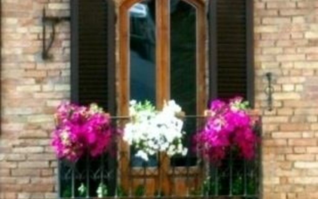 Tuscan Window