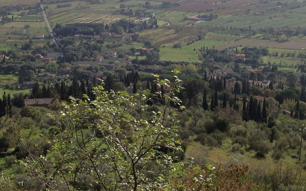 View from Cortona