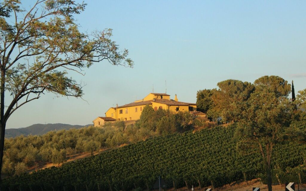 Chianti Clasico Gallo Nero