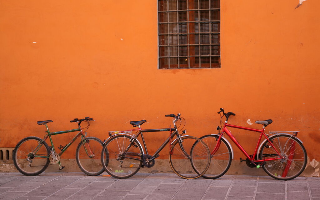 Still life with bikes