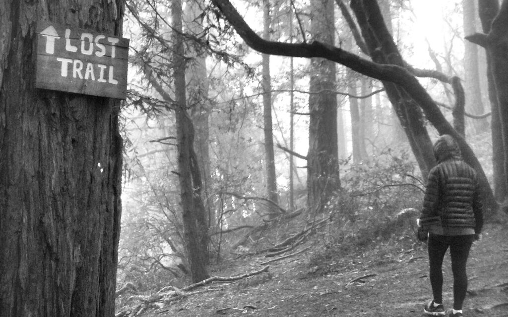 Lost Trail