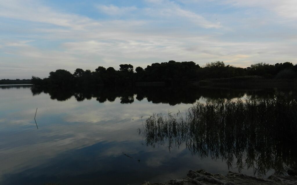 lago alimini