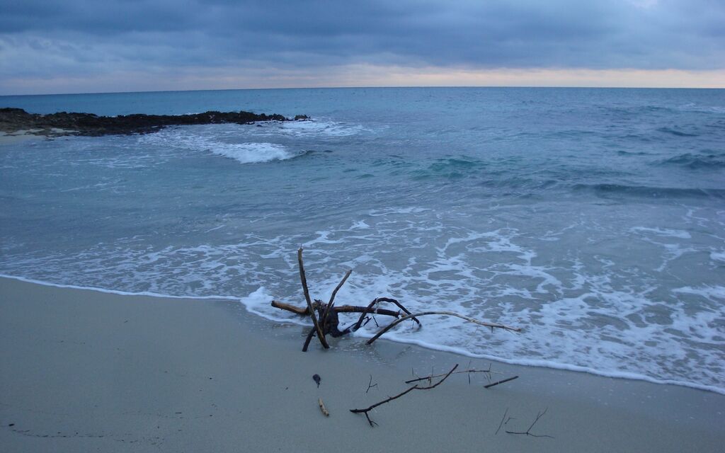 Il mare d'inverno