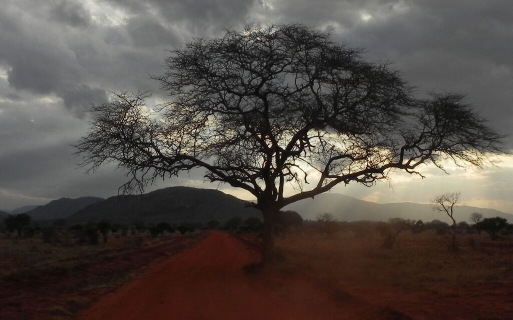 tramonto in Amboseli