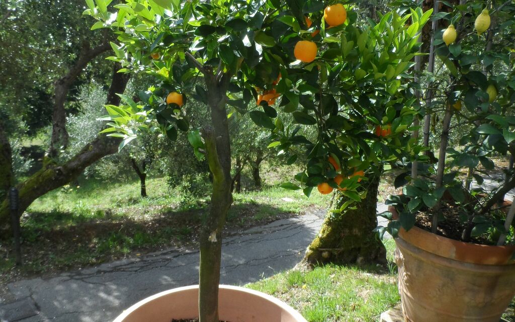 Toscane, een reis voor al je zintuigen.