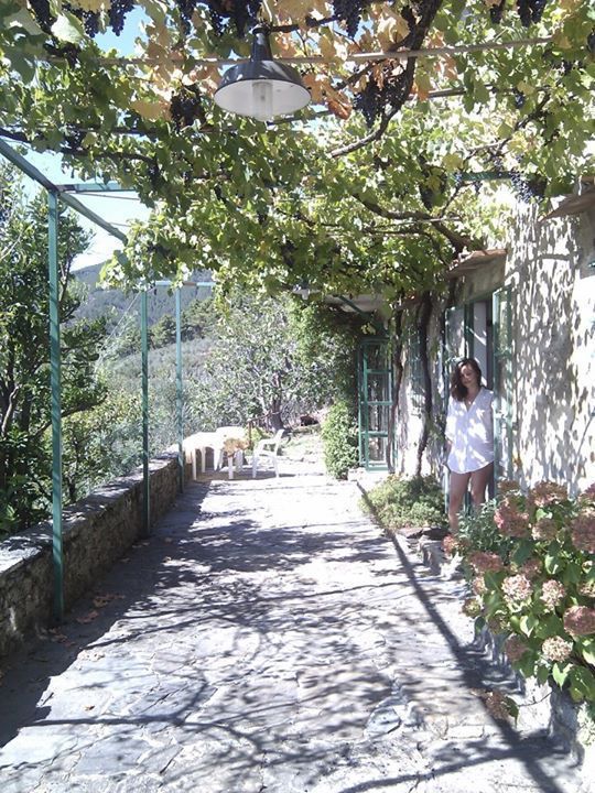 How Jon & Marta tackled Tuscan hills