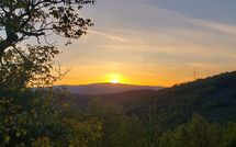 Photo submitted by guest of La Casina del Bosco