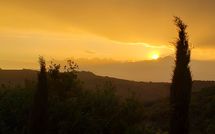 Photo submitted by guest of La Casina del Bosco