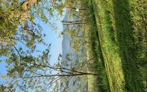 Photo submitted by guest of Il Poggiarone 6