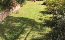 Photo submitted by guest of Casa Cipressi