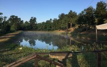 Photo submitted by guest of Fucecchio 900