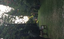 Photo submitted by guest of Montegufoni