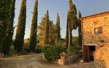 Photo submitted by guest of Country House Il Galleto